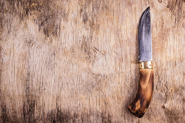 Elk Creek Outfitting — photo 3